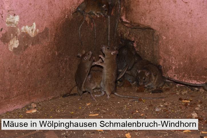 Mäuse in Wölpinghausen Schmalenbruch-Windhorn